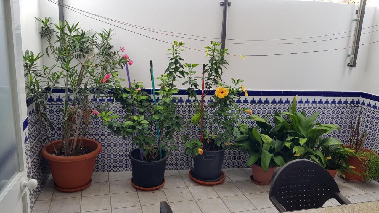 Apartamento Callejuela Las Flores Algodonales Eksteriør bilde